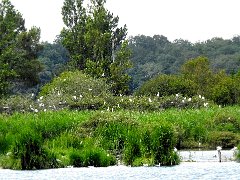 2018-06-16-Vierzon (74)